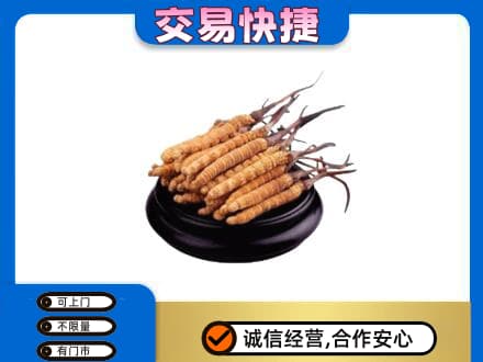 秦皇岛礼品回收散虫草.jpg
